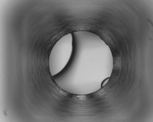 X0000098200478200804241043