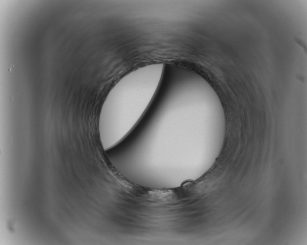 X0000098200480200804241043