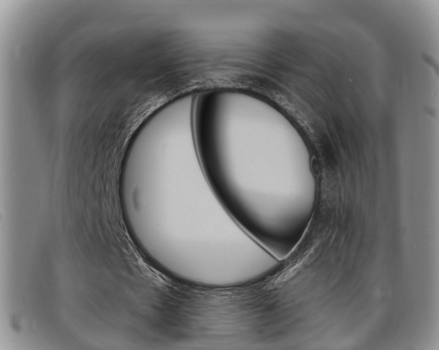 X0000098200481200804241042