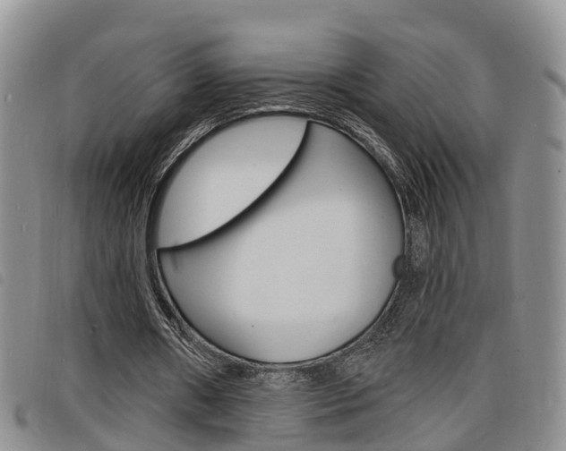 X0000098200482200804241042