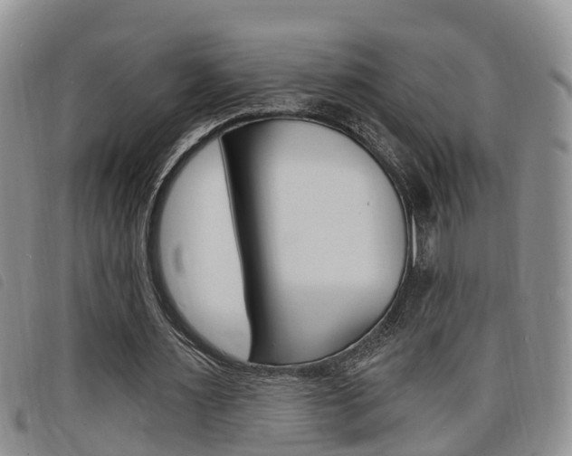 X0000098200483200804241042