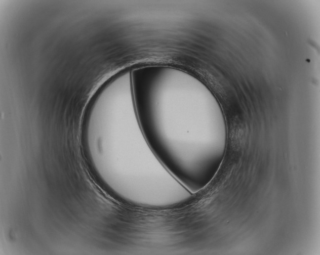 X0000098200484200804241042