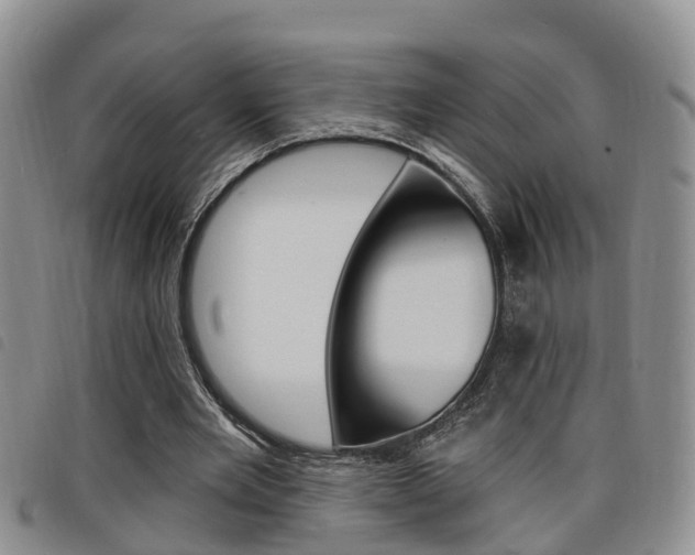 X0000098200485200804241042