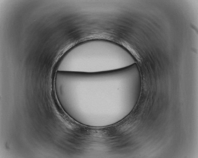 X0000098200486200804241042