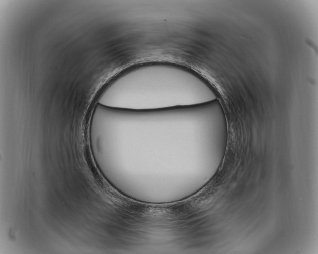 X0000098200487200804241042