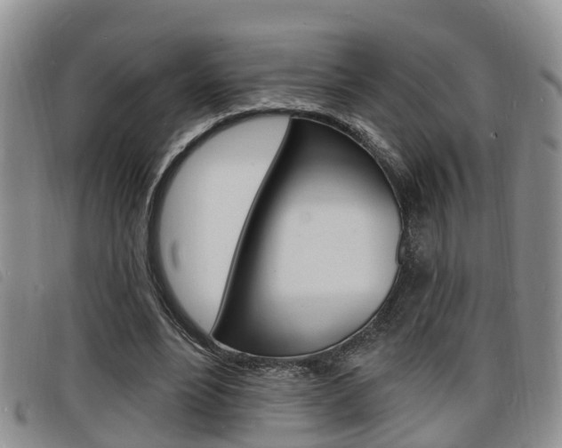 X0000098200488200804241042