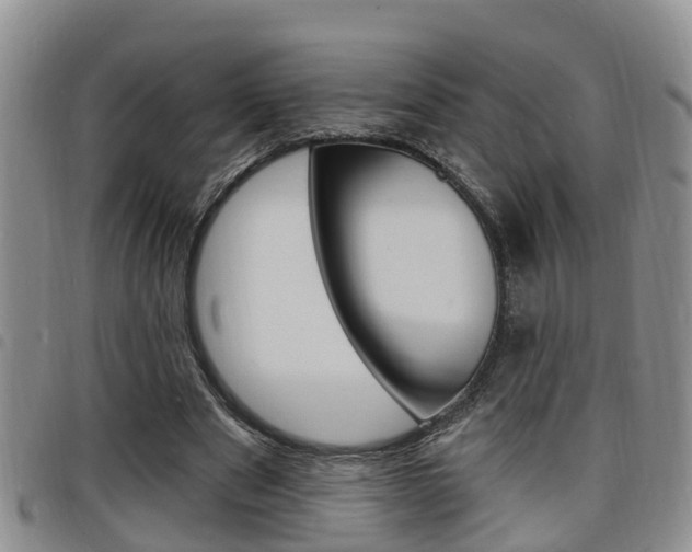 X0000098200489200804241042