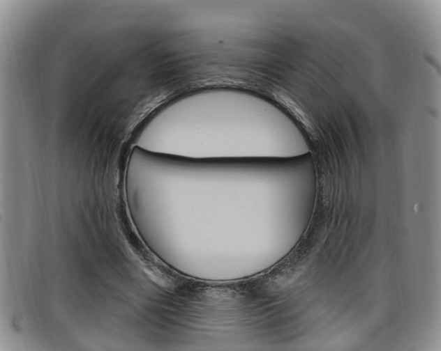 X0000098200490200804241042
