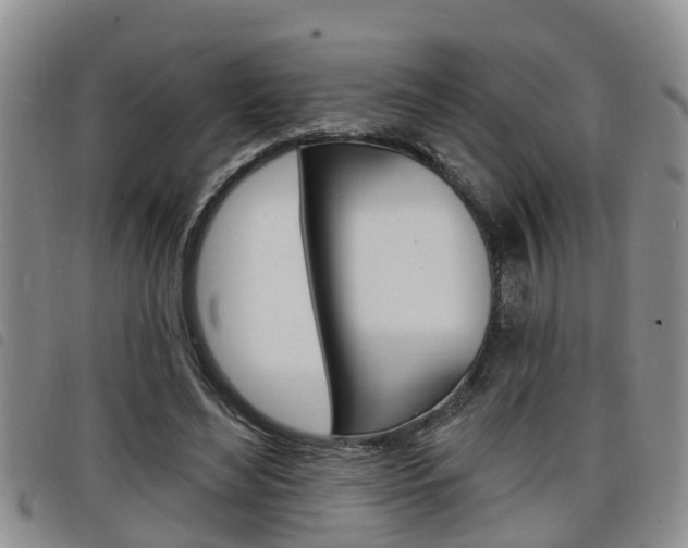 X0000098200492200804241042