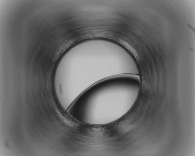 X0000098200493200804241042