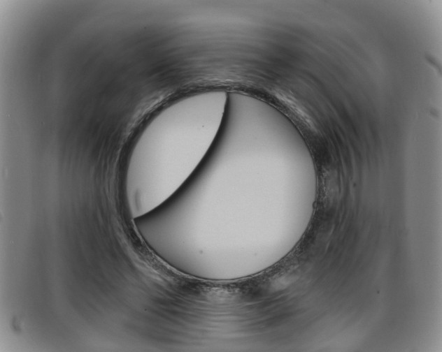 X0000098200494200804241042