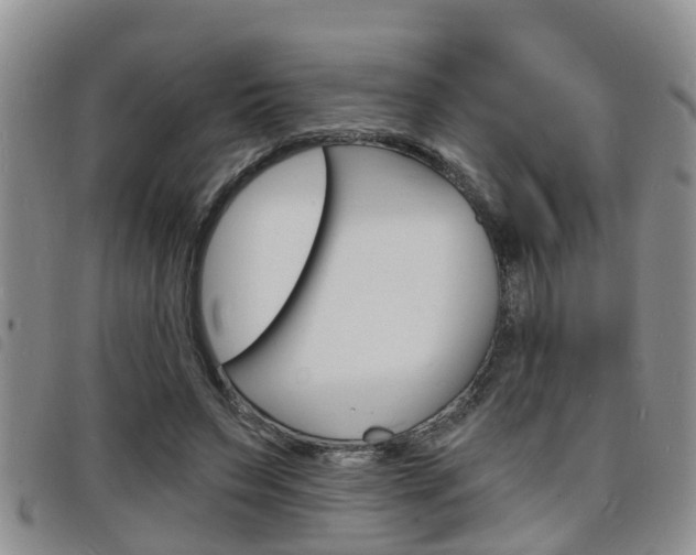 X0000098200495200804241042