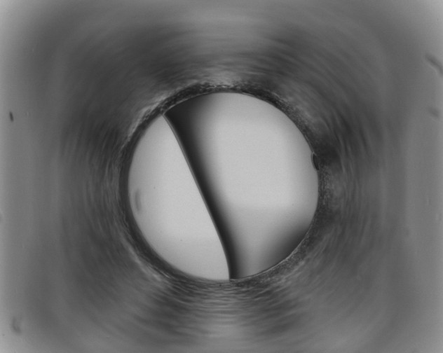 X0000098200496200804241042