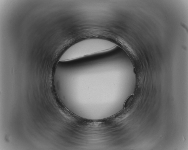 X0000098200497200804241042