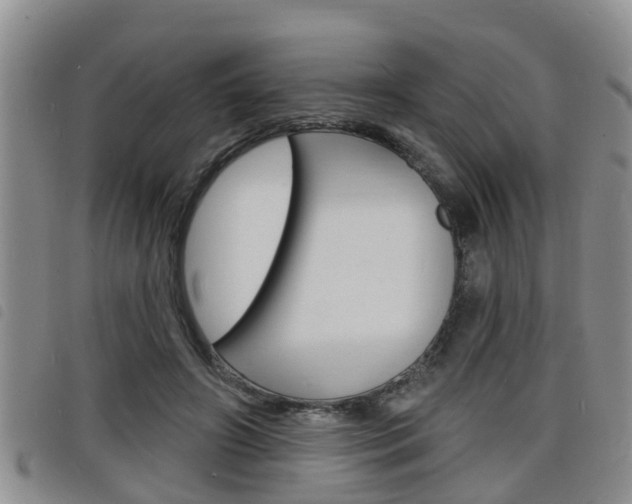 X0000098200498200804241042