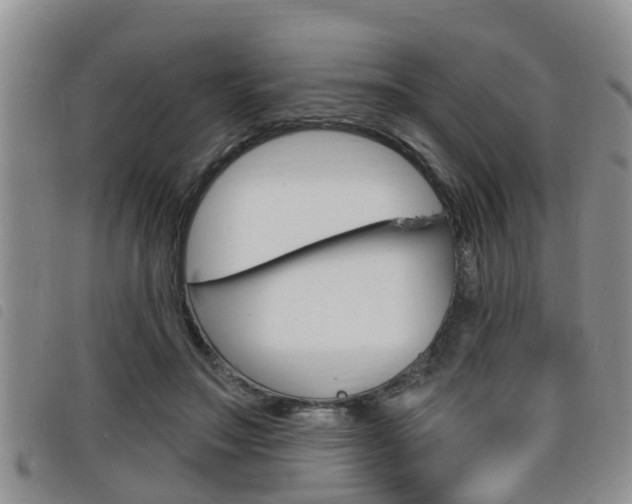 X0000098200499200804241042
