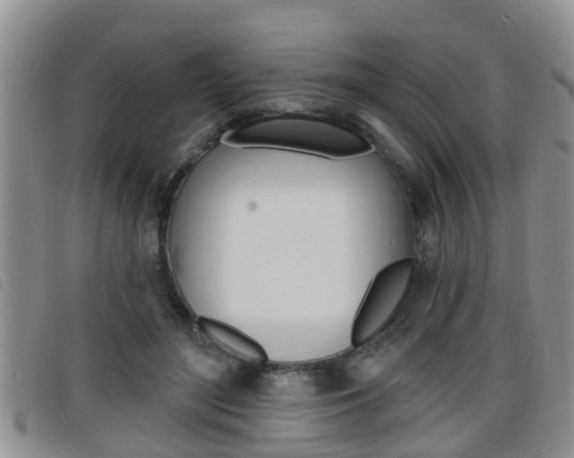X0000098200500200804241042