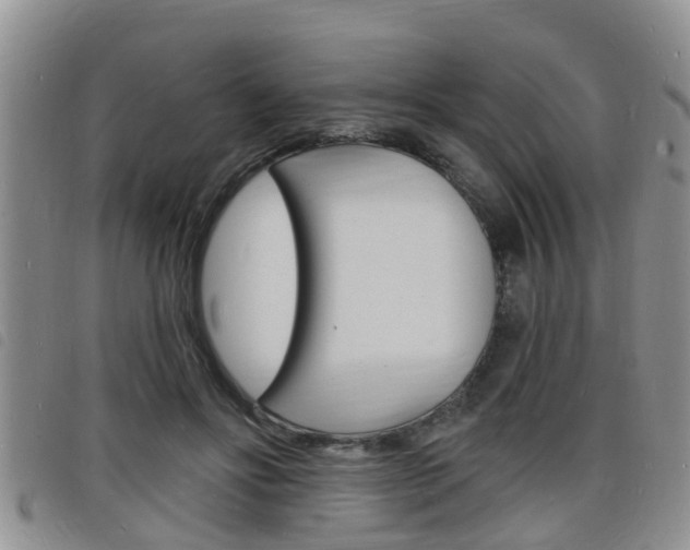 X0000098200502200804241042