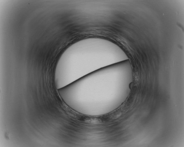 X0000098200503200804241042