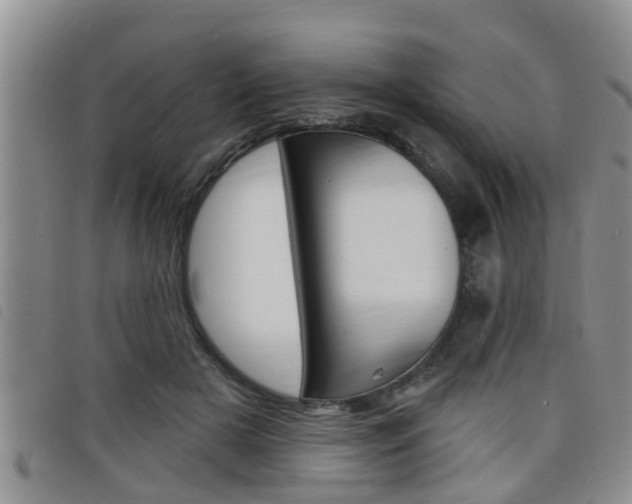X0000098200505200804241042