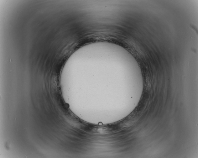 X0000098200506200804241042