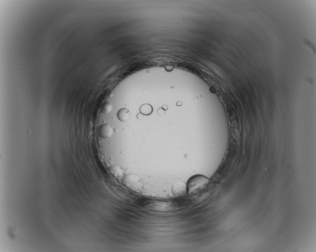 X0000098200507200804241042
