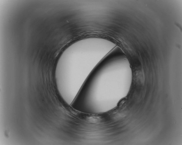 X0000098200508200804241042