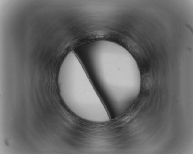 X0000098200509200804241042