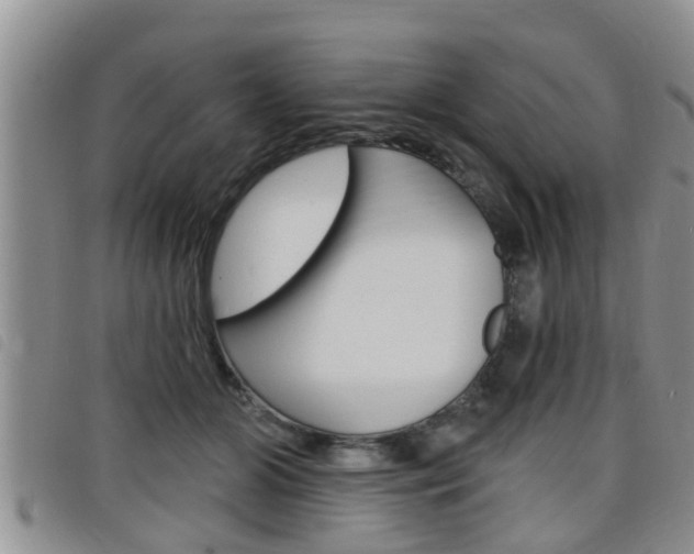 X0000098200510200804241042