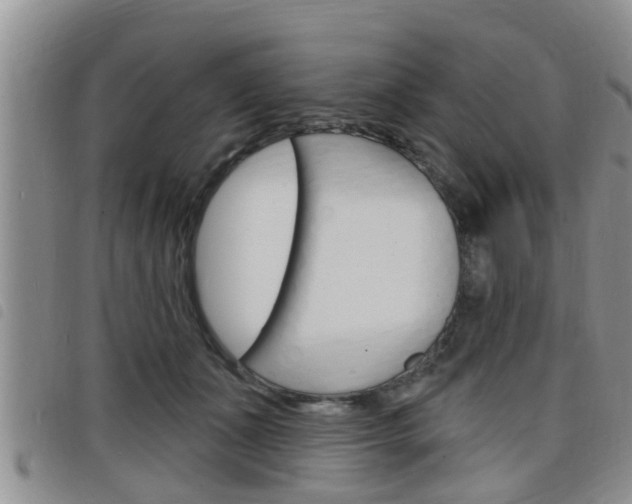 X0000098200511200804241042