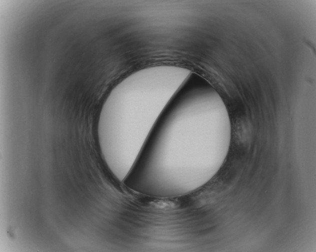 X0000098200512200804241042