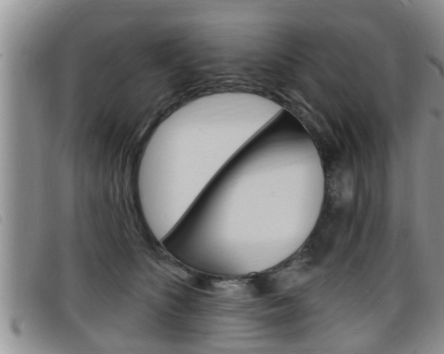 X0000098200516200804241042