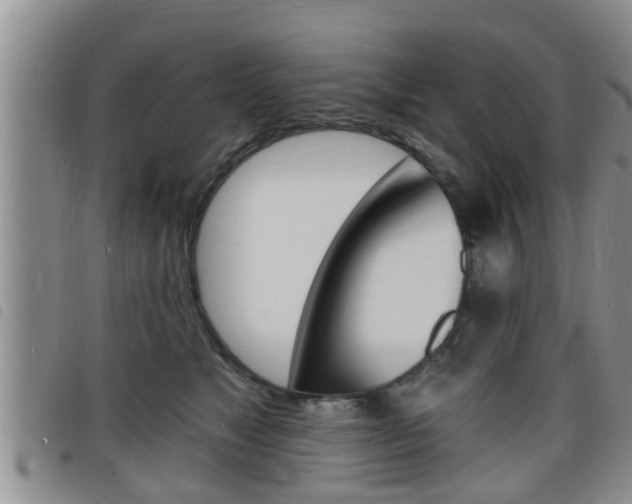 X0000098200517200804241042
