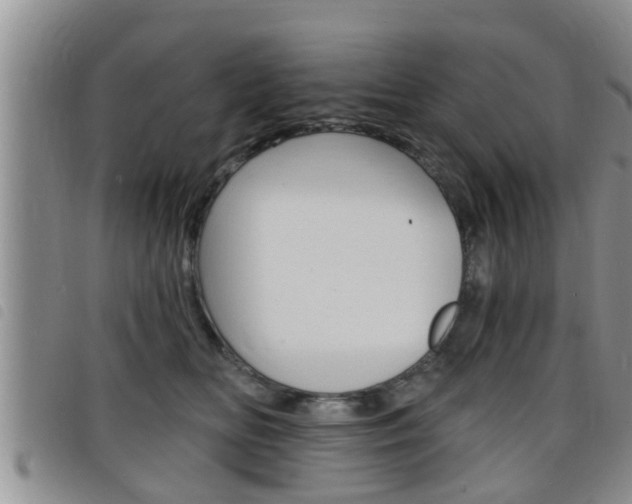 X0000098200518200804241042
