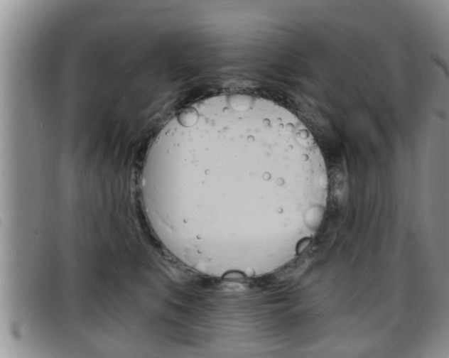 X0000098200519200804241042