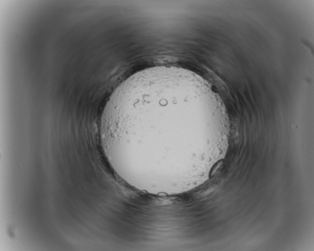 X0000098200523200804241042
