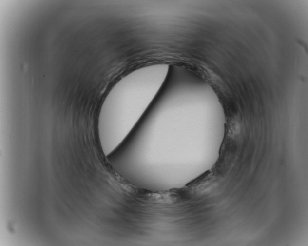 X0000098200524200804241042