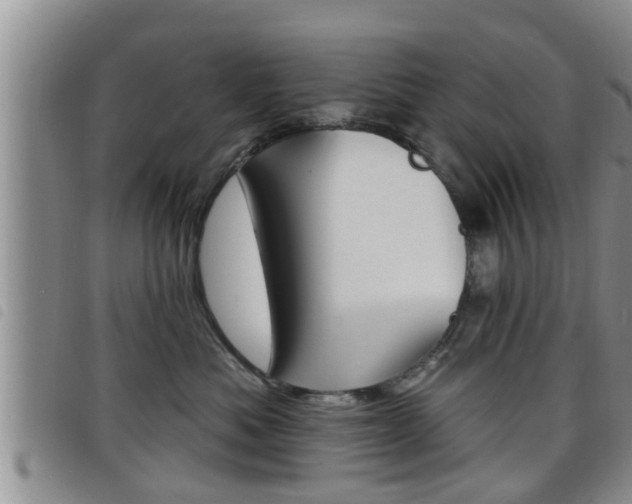 X0000098200525200804241041