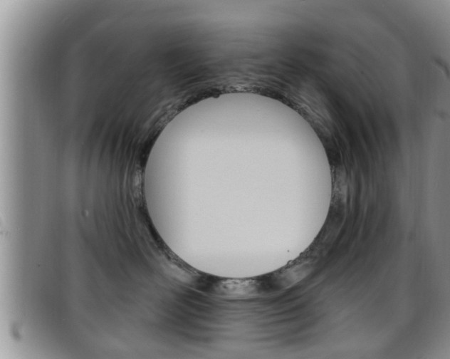 X0000098200526200804241041