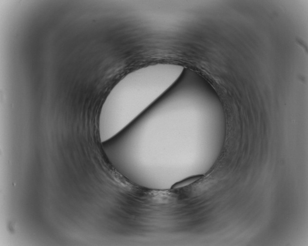 X0000098200528200804241041