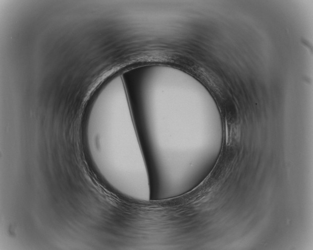 X0000098200531200804241041