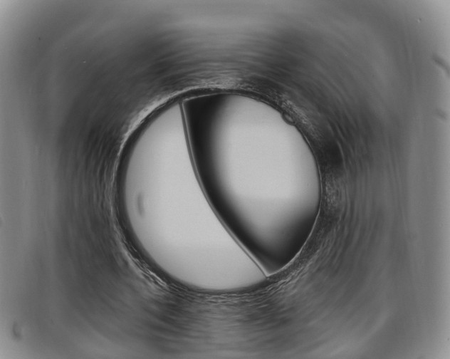 X0000098200532200804241041