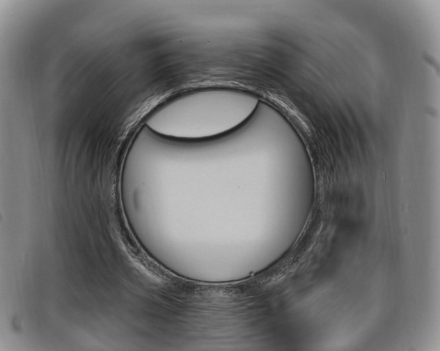 X0000098200533200804241041