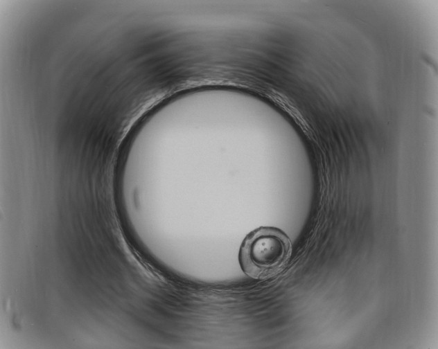 X0000098200534200804241041