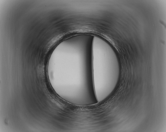 X0000098200535200804241041