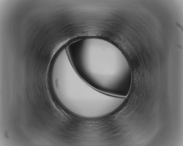 X0000098200536200804241041
