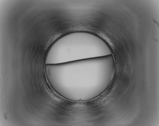 X0000098200537200804241041