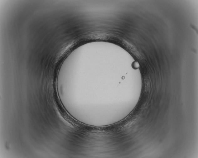 X0000098200538200804241041