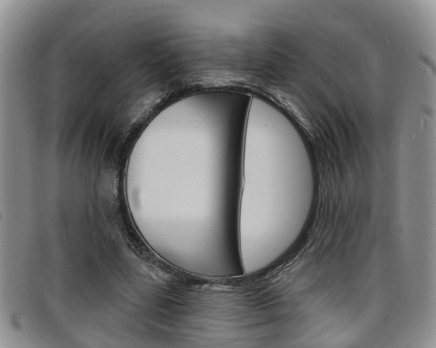 X0000098200539200804241041