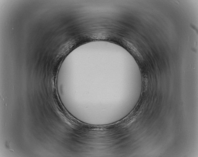X0000098200541200804241041